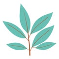 Green branch leaves foliage natural isolated icon style