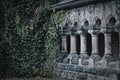 Green branches and leaves of ivy covering the wall step by step conquer ancient stone colonnade Royalty Free Stock Photo