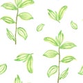 Green branches. Watercolor seamless pattern with tree branches. Spring design for notebooks, stationery and textiles.