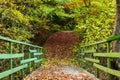 Green bridge at autumn forest, tourist route Royalty Free Stock Photo