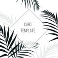 Green bright and dark tropical vector design square frame. Palm leaves. Natural exotic card in modern funky style. Royalty Free Stock Photo