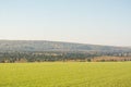 Green bright field in Russia. Nature of Russia Royalty Free Stock Photo