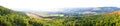 green bright forest landsacpe panorama background