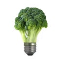 Green broccoli bulb