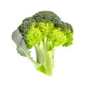 Broccoli branch with leaf isolated on white background with clipping path