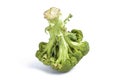Green broccoli cabbage isolated Royalty Free Stock Photo