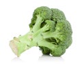 Green broccoli cabbage isolated on a white Royalty Free Stock Photo