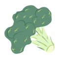 Green broccoli cartoon icon vector food isolated Royalty Free Stock Photo