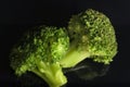 Green broccoli with dark black background horizontally Brassica oleracea var italica Royalty Free Stock Photo