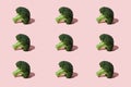 Green Broccoli head on pink background