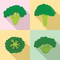 Green broccoli icon set, flat style