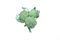 Green broccoli isolated on white background Royalty Free Stock Photo
