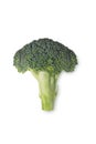 Green Broccoli isolated on white background with shadow Royalty Free Stock Photo