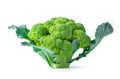 Green broccoli isolated on a white background. Vegetarian food. Royalty Free Stock Photo