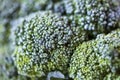 Green broccoli macro texture, close up