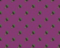 Green broccoli on purple background pattern Royalty Free Stock Photo