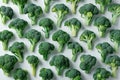 green broccoli white background Royalty Free Stock Photo