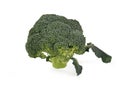 Green brocoli isolated in white background