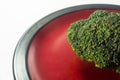 Green Brocolli on Red and Black Plate on White Background Royalty Free Stock Photo