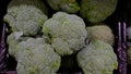 Green brocolli sell in a groceries store