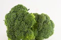 Green brocolli serries Royalty Free Stock Photo