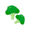 Green brocolli simple illustration on white background. healthy food