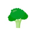 Green brocolli simple illustration on white background