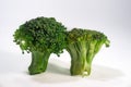 Green Brocolli on White Background