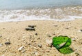 Green broken glass fragments lay on the beach at midday at Cape Panwa, Phuket, Thailand, Dangerous for tourists who pass by Royalty Free Stock Photo