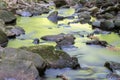 Green brook in the forest. Long exposure shot