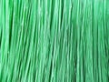 Green Broom with Small Sand