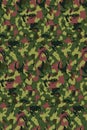 Green brown camouflage pattern Royalty Free Stock Photo