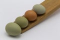 green, brown chicken eggs in line on a wooden egg rolling tray white background. Easter holiday eggs natural colour