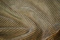 Green brown corduroy surface texture. Elegant background with space for design. Natural cotton ribbed fabric. Royalty Free Stock Photo