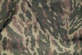 Green and brown military camouflage uniform pattern. Royalty Free Stock Photo