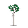 Green and brown outline hand drawing vector illustration of a deciduous tree with fresh leaves in summer isolated on a white Royalty Free Stock Photo