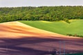 Green and brown spring ploughland. Rolling arable fields Royalty Free Stock Photo