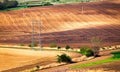 Green and brown spring ploughland. Rolling arable fields