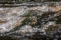 Green and brown water in a river stream close-up with bubbles and foam Royalty Free Stock Photo