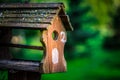 A bird house or bird box in summer or spring sunshine with natural green leaves background Royalty Free Stock Photo