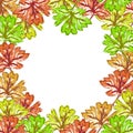 Green brown yellow red maple leaf frame Royalty Free Stock Photo
