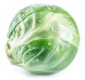 Green brussel sprout with water drops on white background Royalty Free Stock Photo