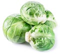 Green brussel sprouts on white background Royalty Free Stock Photo