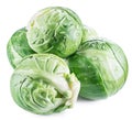 Green brussel sprouts with water drops on white background. Clipping path Royalty Free Stock Photo