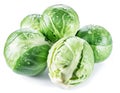 Green brussel sprouts on white background Royalty Free Stock Photo