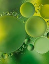 Green bubble background Royalty Free Stock Photo