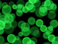Green bubble background vector texture pattern for presentations or website background Royalty Free Stock Photo