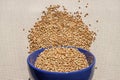 Green buckwheat in blue porcelain bowl, natural shadow.Dry unroasted whole grain superfood flat lay.Organic healthy food Royalty Free Stock Photo