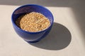 Green buckwheat in blue porcelain bowl, natural shadow.Dry unroasted whole grain superfood flat lay.Organic healthy food Royalty Free Stock Photo