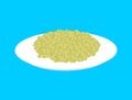 Green buckwheat cereal in plate isolated. Healthy food for break